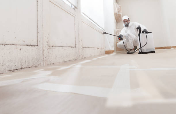 24/7 Emergency Attic Mold Removal experts in Westmont, IL